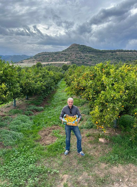 Lucía Fruits - Fruta Ecológica