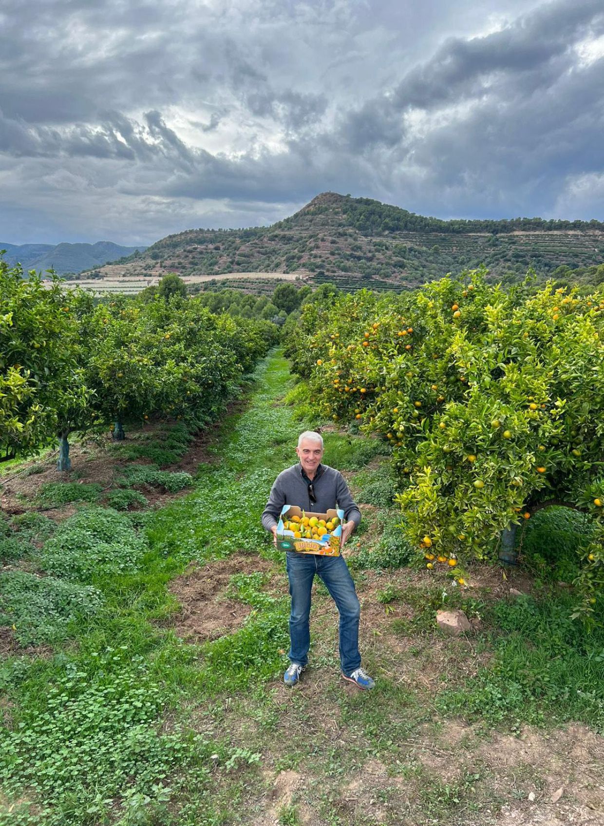 Lucía Fruits - Cultivo Sostenible