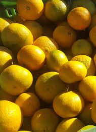 Fruta Ecológica