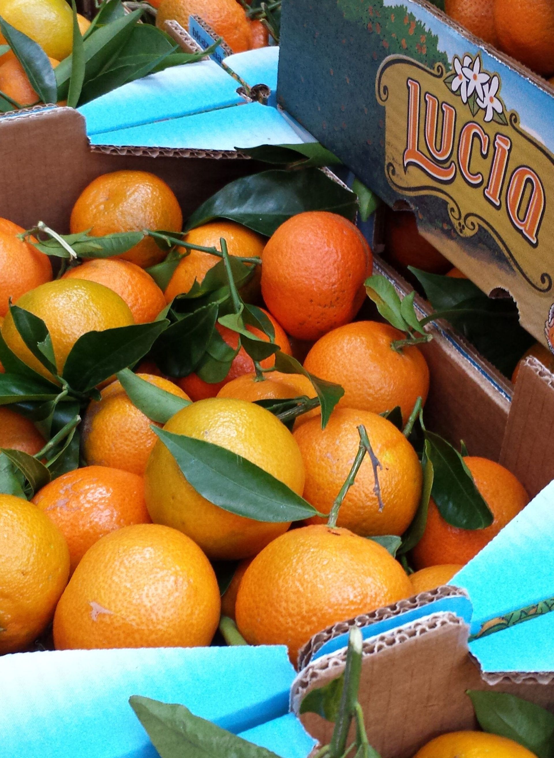 Fruta Ecológica
