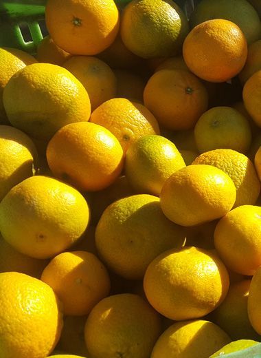 Fruta Ecológica