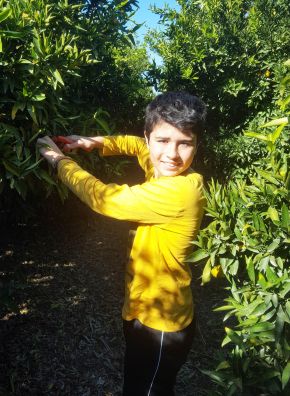 Fruta Ecológica y niño