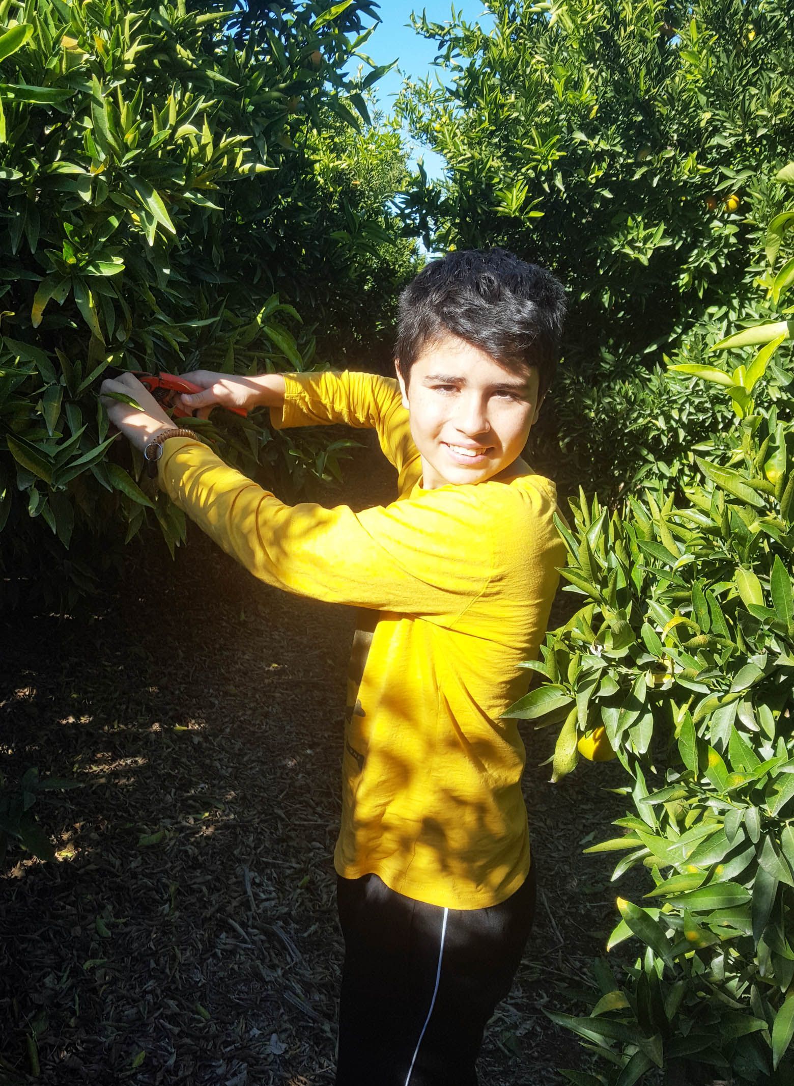 Fruta Ecológica y niño